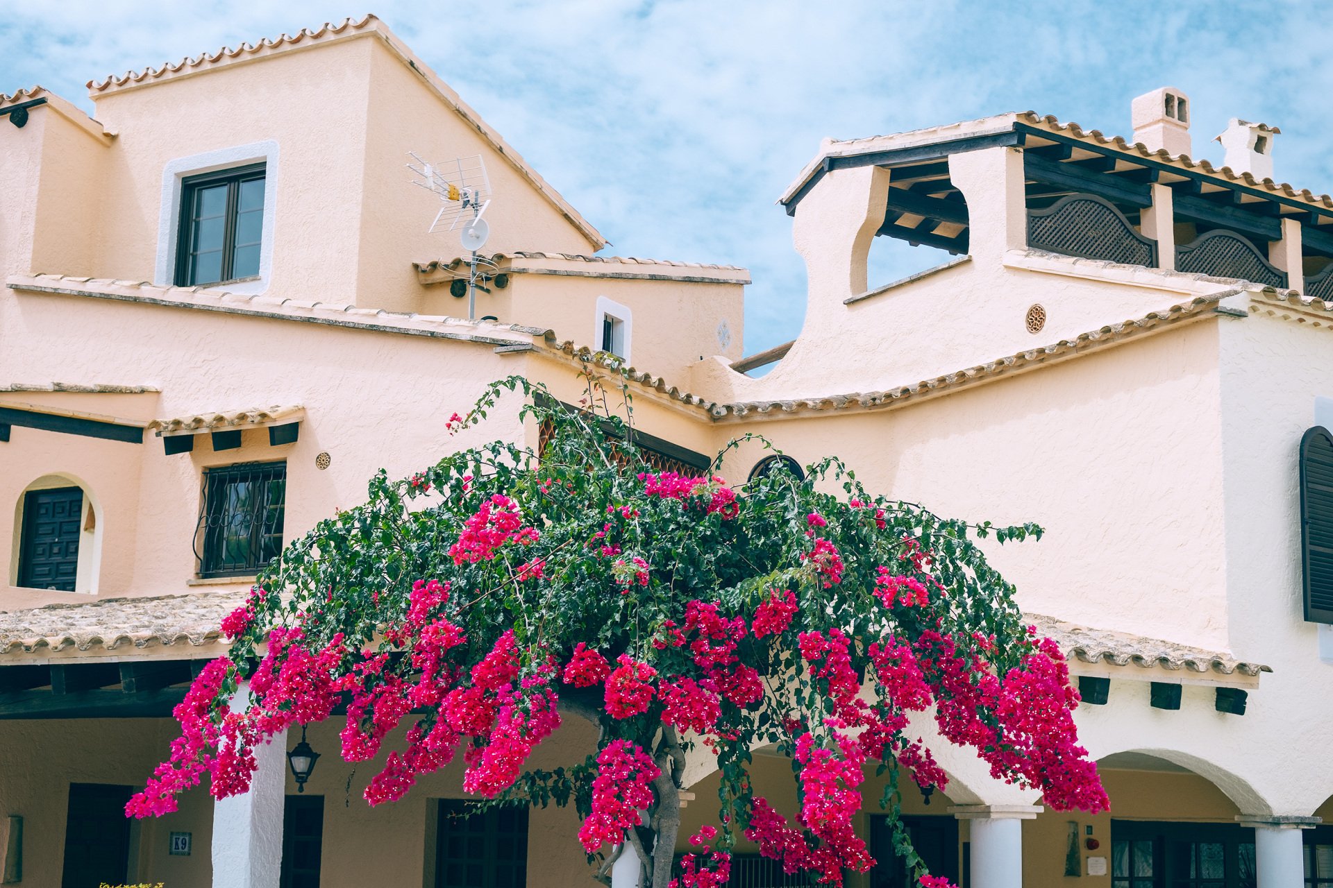 Edificio de paredes claras con tejados de tejas, porche con arcos, terraza cubierta y una planta de abundantes flores fucsias en primer plano.